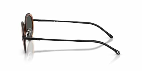 Side view of round sunglasses with black frames.